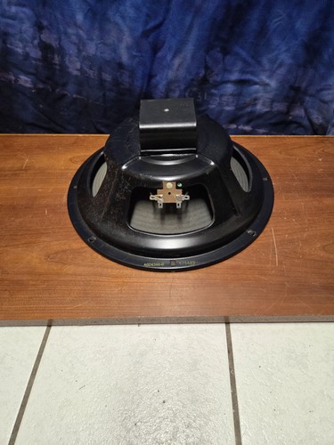 Alnico speaker rib cone - alnico,