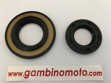 Engine Oil Seal Set Piaggio