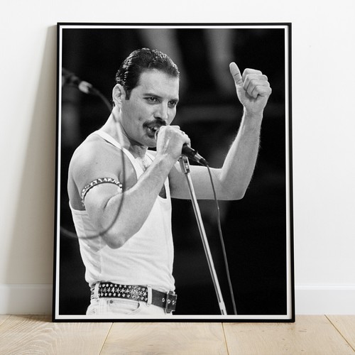 Queen freddie mercury - mercury, aid