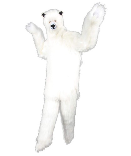 Hpo white polar - polar, costume