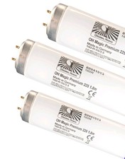 New Sunbeds Lamps Magic