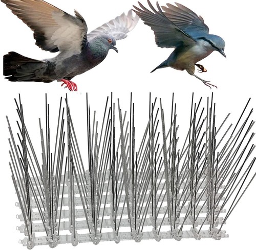 10m bird pigeon metal wall - 5m/10m,