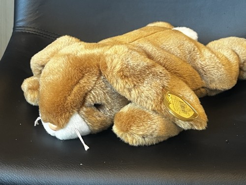 Vgc retired beanie buddy - beanie,