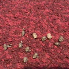 Warhammer 40k Astra Militarum