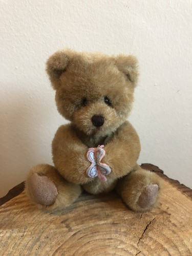 Boyds collection bear - collection,