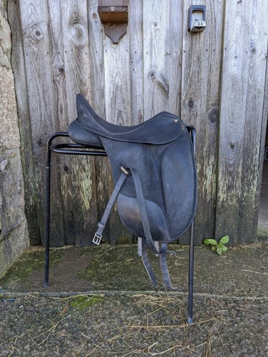 Isobelle werth dressage - isobelle,