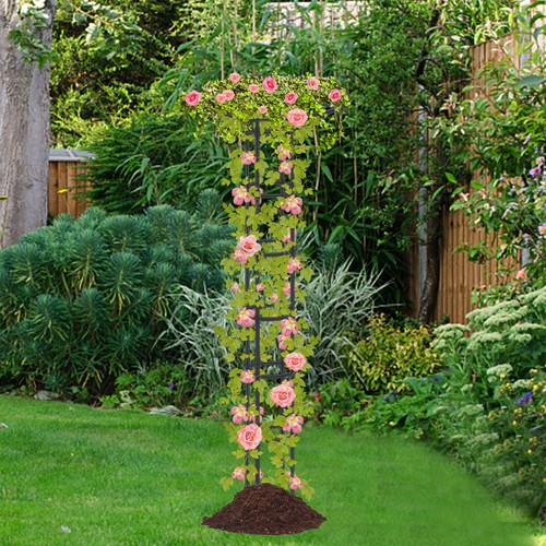 Umbrella plant stand trellis - plant,