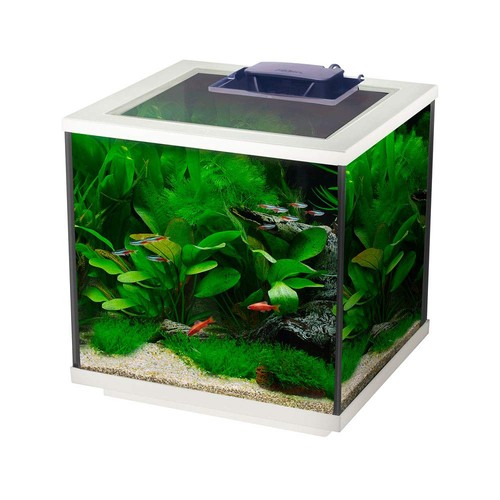 Interpet aqua cube glass fish - aqua,