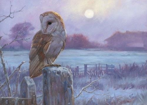 Barn owl christmas - owl,