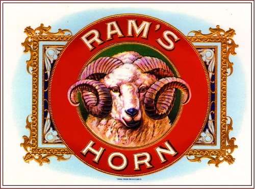 1919 ram horn bighorn - horn,