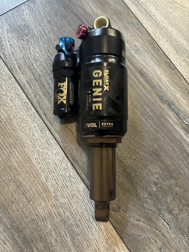 Fox genie float - genie,