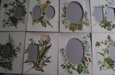 8 VICTORIAN PHOTO FLORAL ALBUM