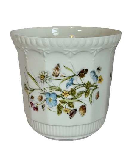 Aynsley natures delights plant - aynsley,