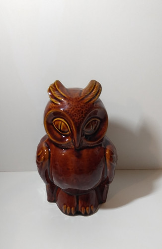 Dartmouth owl money box - owl,