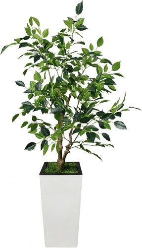 4ft silk ficus tree - ficus,