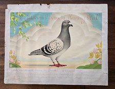 Antique Racing Pigeon Diploma