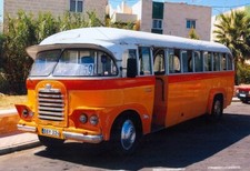 BUS PHOTO MALTA BUS DBY-324 PHOTOGRAPH PICTURE ORANGE & WHITE VEHICLE ROUTE 159.