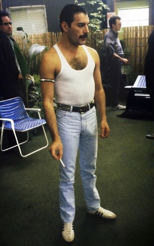 Freddie mercury queen poster - freddie,