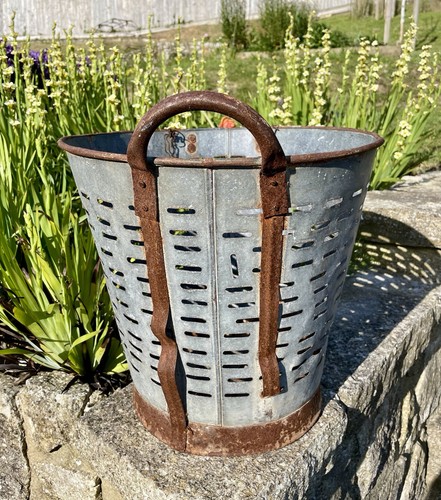 Vintage olive basket - olive,