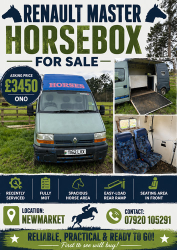 Horse box renault master - horse,