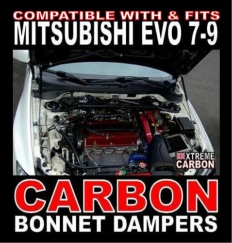 Carbon bonnet dampers lifters - carbon,