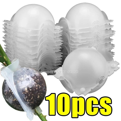 Plant rooting ball air - ball,