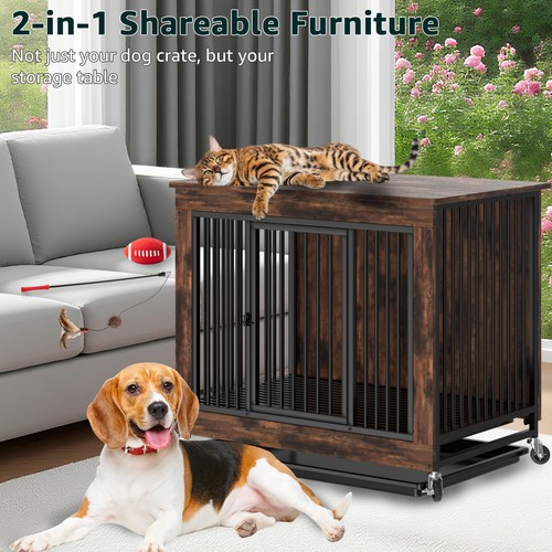 Dual purpose dog - dual, &
