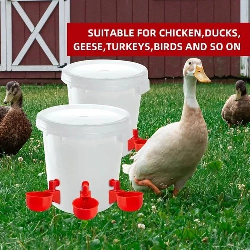 Automatic chicken water cup - 6x,