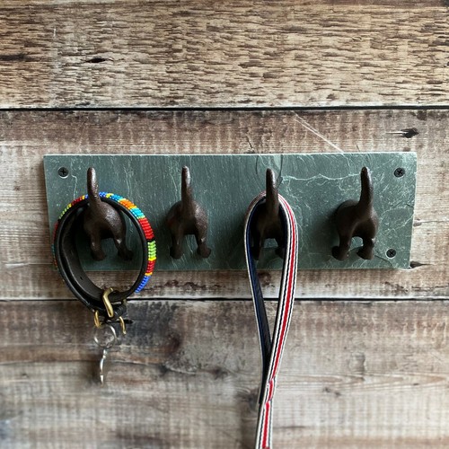 Dog tail wall - tail, coat,