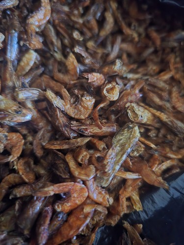 Fresh dried neat tasty - dried,