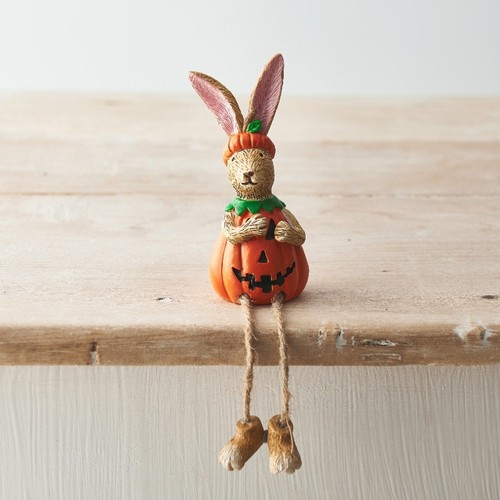 Jasper rabbit pumpkin - jasper,