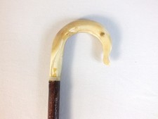 Rams Horn Shepherds Crook