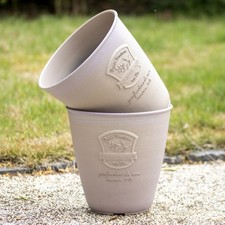 Set Of 2 Beige French Country