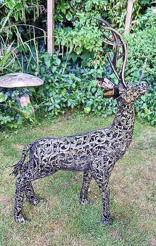 Stag deer standing garden - deer,