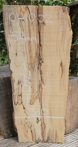 Spalted chestnut live edge - chestnut,