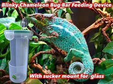 BLINKY CHAMELEON BUG BAR INSECT FEEDING CUP GLASS SUCTION MOUNT REPTILE