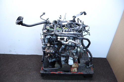 2023 ford transit - transit, custom