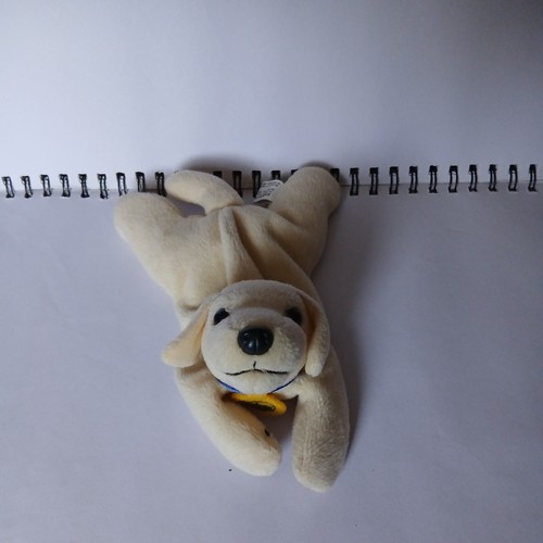 Andrex puppy golden retriever - andrex,