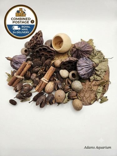 Large botanical enrichment - large,
