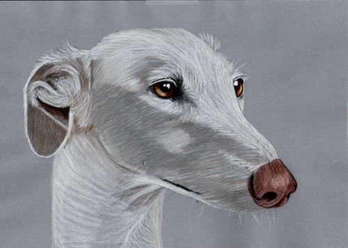 Original colour pencil