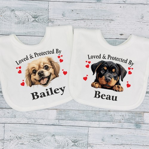 Different dog breeds loved - dog,
