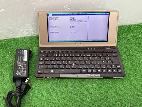 Sony vaio vgn - vgn-p61s, type