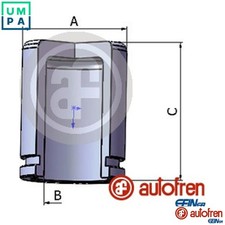 PISTON BRAKE CALIPER D025512