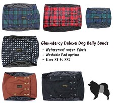 Glenndarcy Washable Male Dog