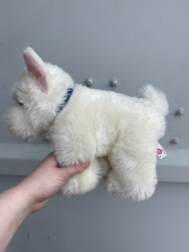 Keel cuddle puppies west - cuddle,