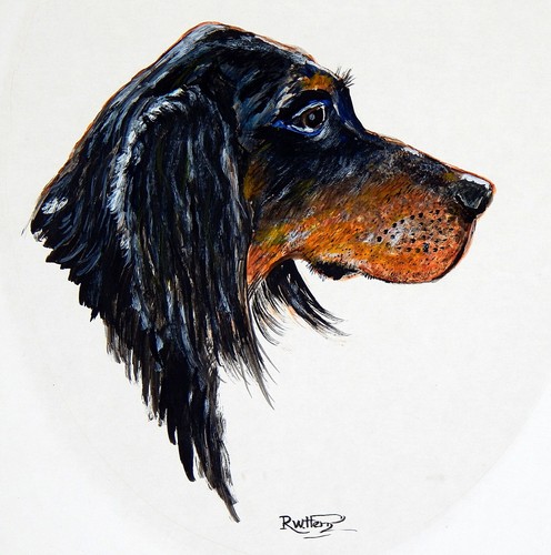 Vintage painting gordon setter - vintage,