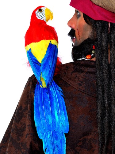 Pirate parrot on shoulder - on,