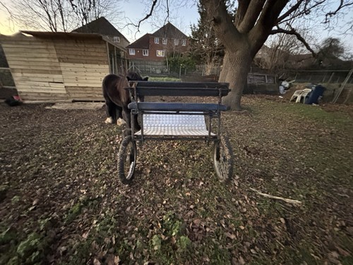 Horse trap cart - horse,