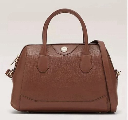 Paul costelloe dressage - costelloe,