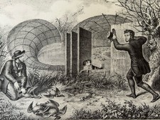 Antique Print Bird Decoy